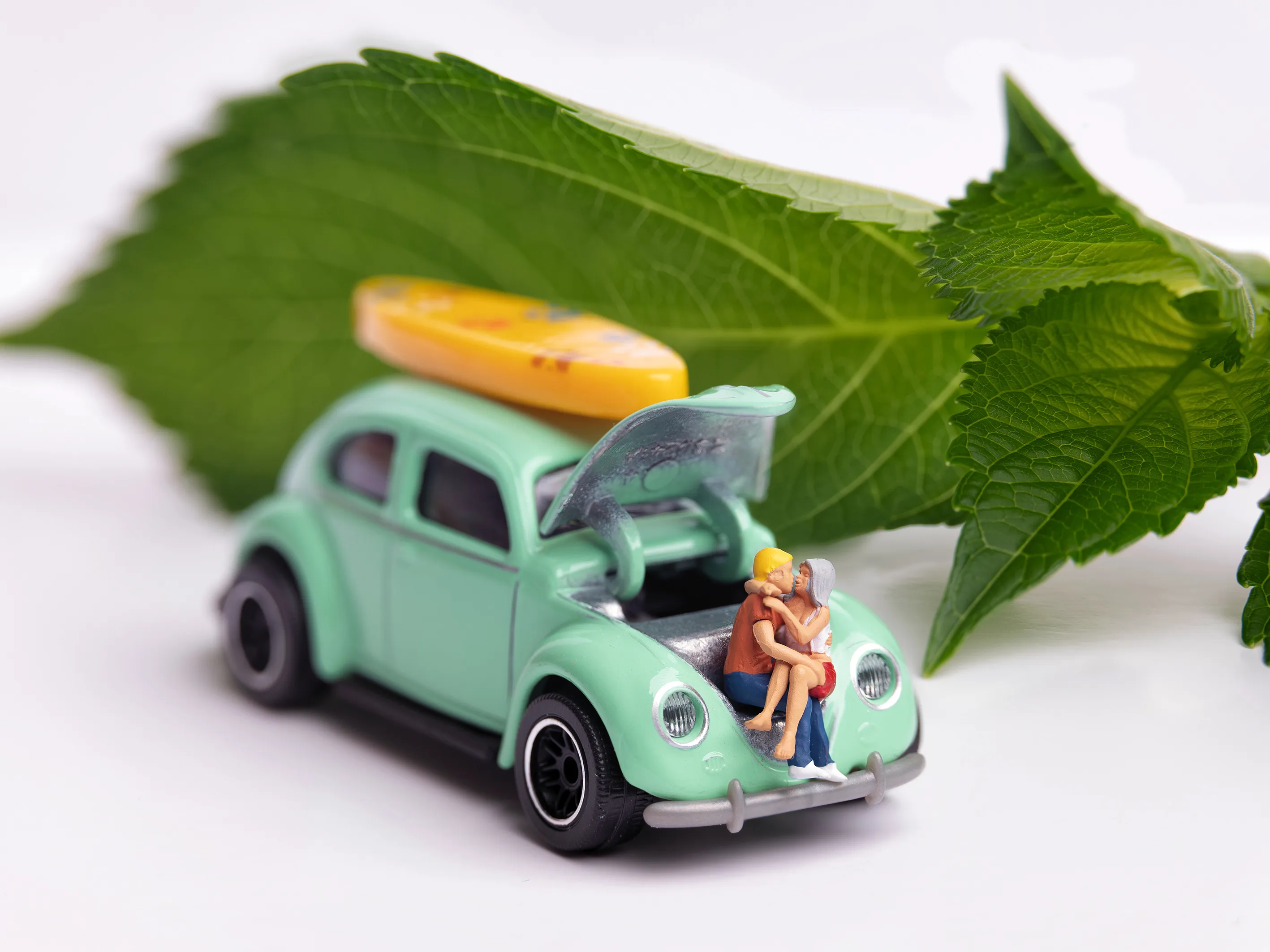 Beetle